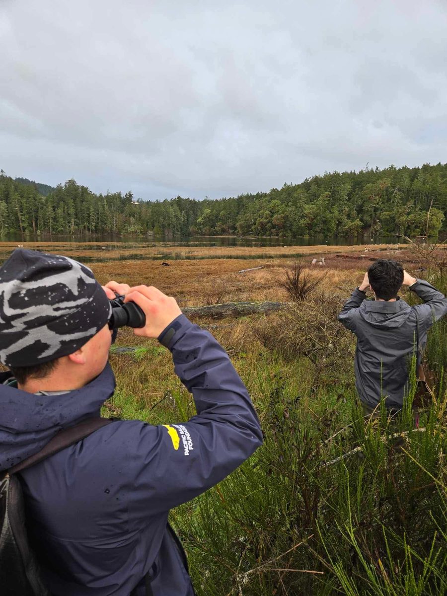 Bird survey fieldwork