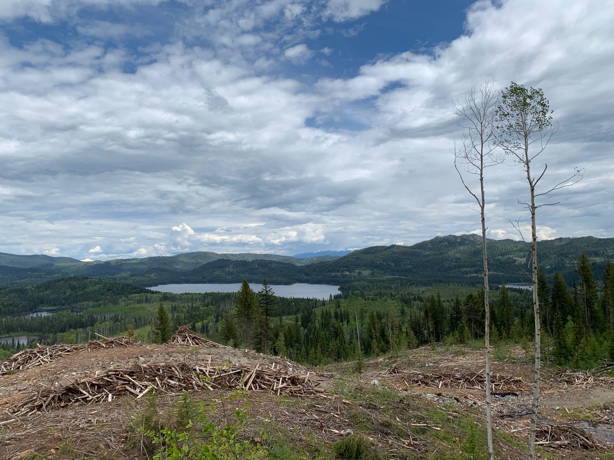 Northern BC landscape
